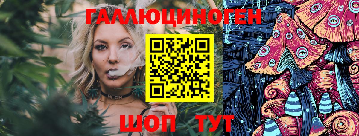 Галлюциногенные грибы Psilocybe Амурск