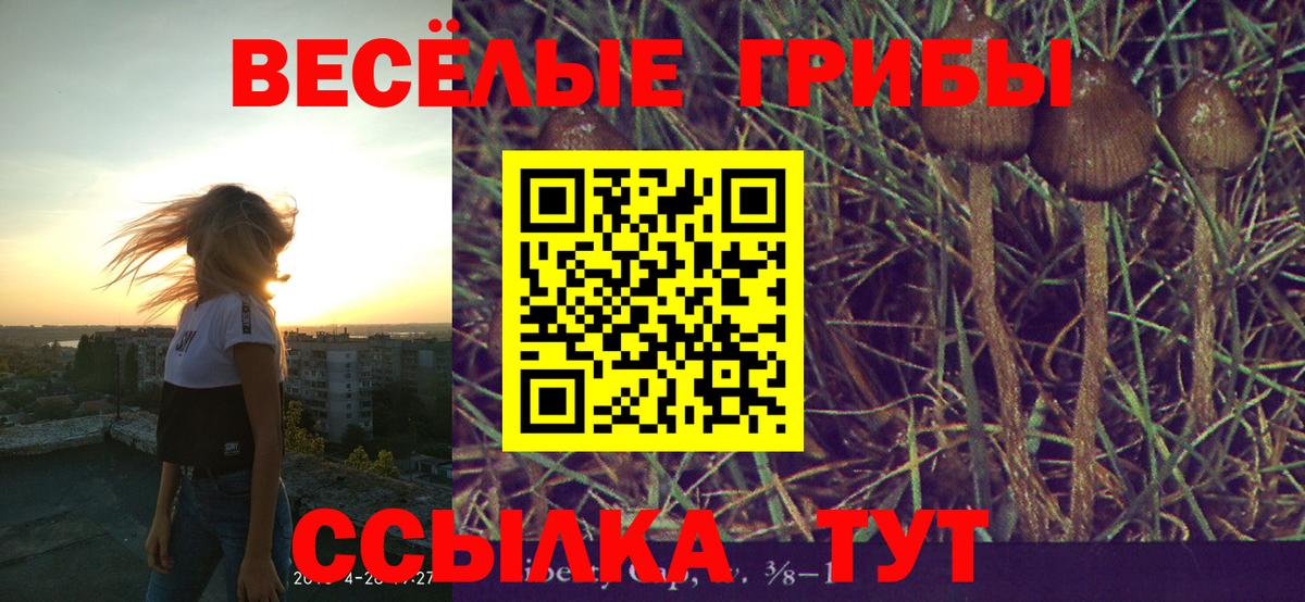 Галлюциногенные грибы MAGIC MUSHROOMS  даркнет сайт  Амурск  Псилоцибиновые грибы GOLDEN TEACHER  Вход с VPN 